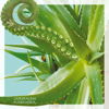 Aloe - LATEXFAUNA