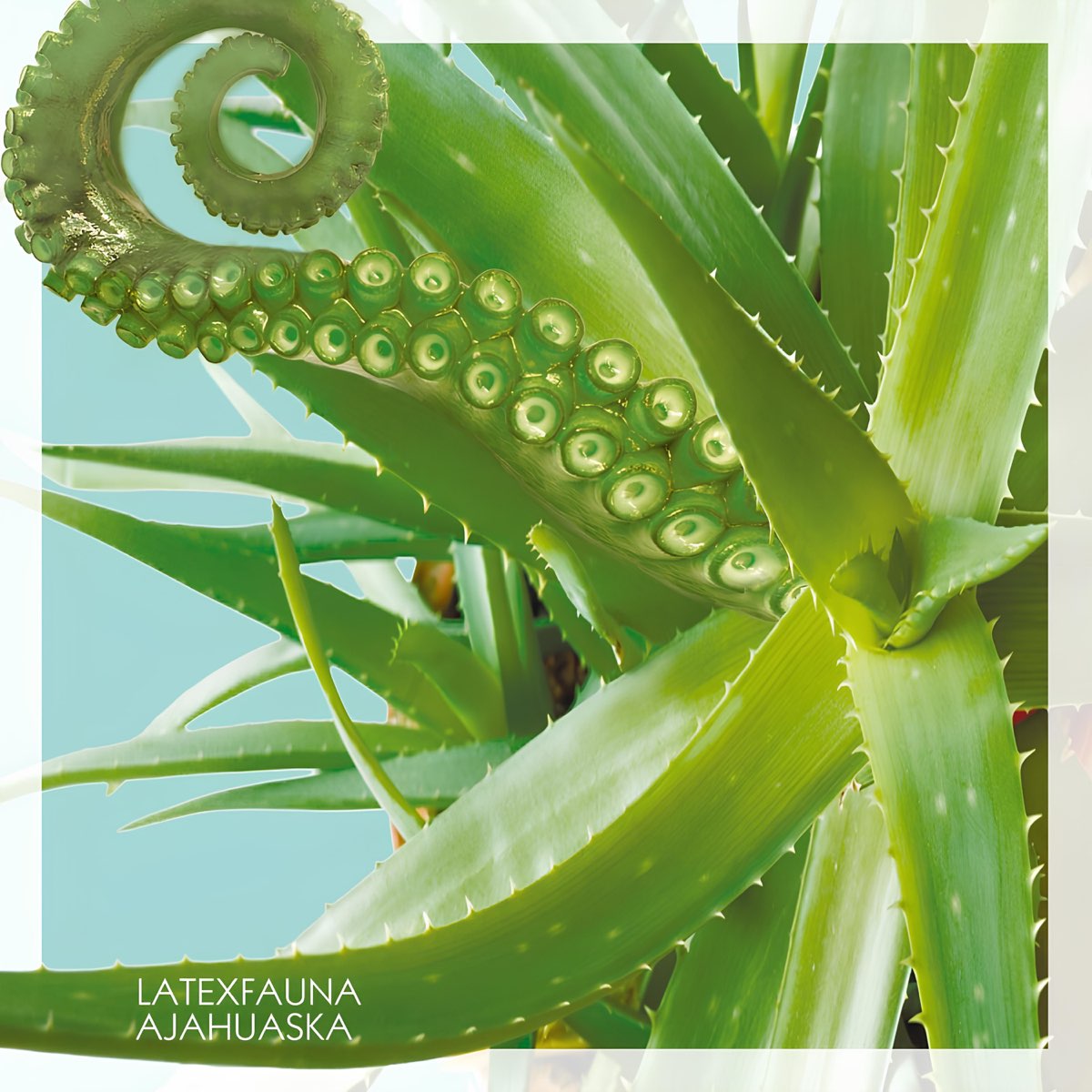 ajahuaska-album-by-latexfauna-apple-music