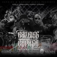 RapRise International Cypher #1 (feat. Vermillion, Sxpect Mys & BandooBeats) - Single - RapRiseRecords, Tkxvi & ITM Chingy