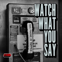 Watch What You Say - Single - Mr. ilango