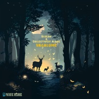 Vagalume - Single - Blueor, Collectively Alone & Patiotic Records