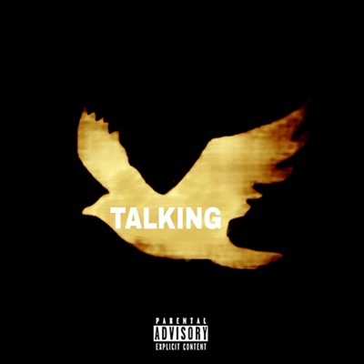 TALKING (feat. Masoncarterx) - Single