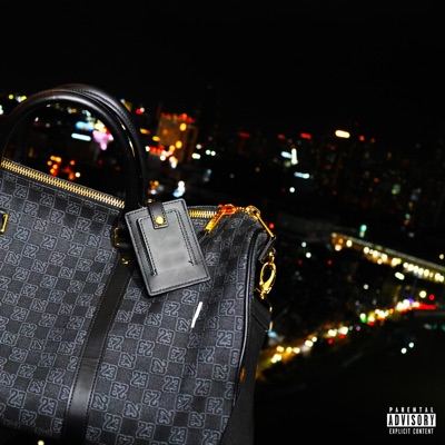 WHAT I LIKE (feat. Tryx, Ty Raquin, Allegra, Dré Rizzæ, Juancho & Sieg Fuego) - Single