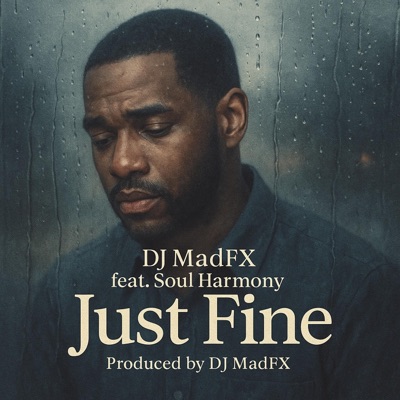 Just Fine (feat. Soul Harmony) - Single
