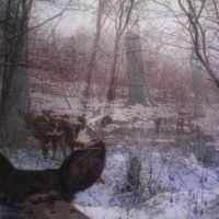 dying in the snow - Single - shynin9s