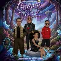 GingerVibez - Single - Jossy, BoyLiam & Oluflexy omf