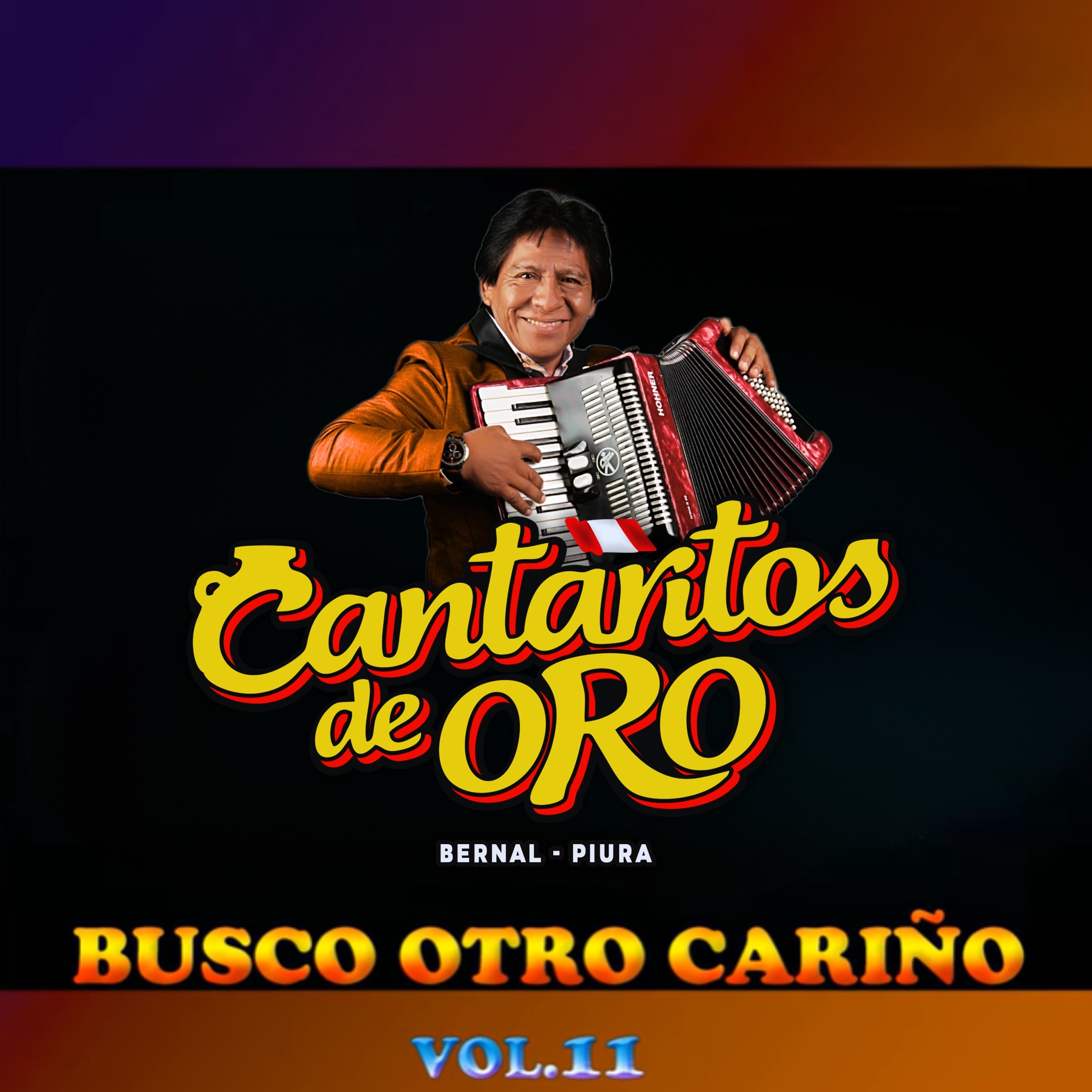 Busco Otro Cariño, Vol. 11