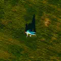 PAPER PLANES