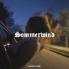 Sommerwind - Single