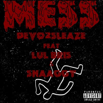 Mess (feat. LulBris & Shaaggy) - Single