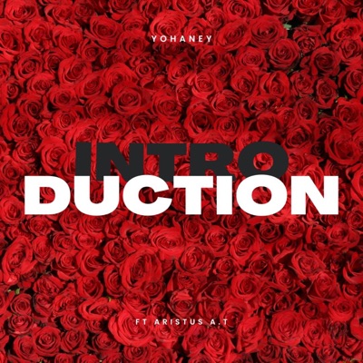 Introduction (feat. Aristus a. T) - Single