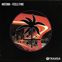 Feels Fine - Single - Natema