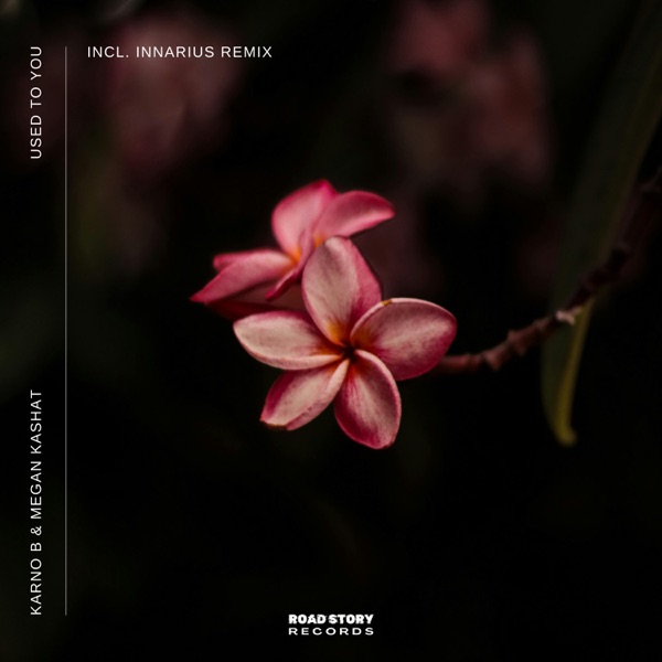 Used to You - Single