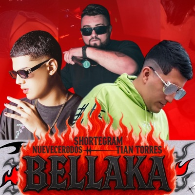 BELLAKA (feat. Nuevecerodos & Tian torres) - Single