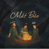Mắt Bão