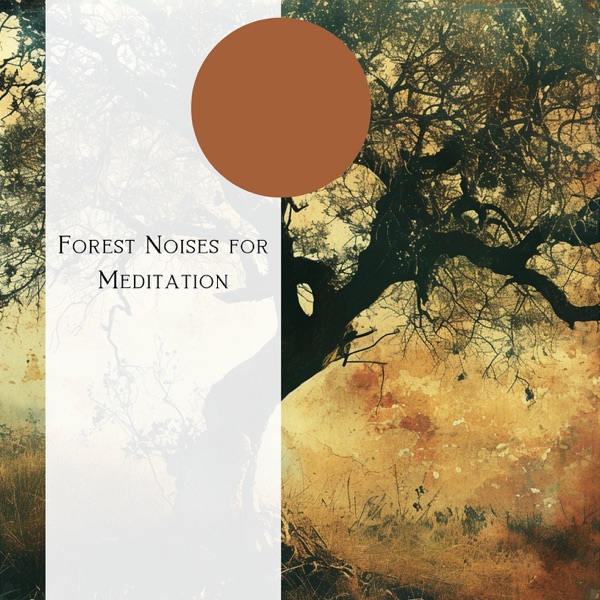 Forest Noises for Meditation