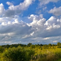 Burning Bridges (feat. kennedyxoxo) - Single - wndr.exe