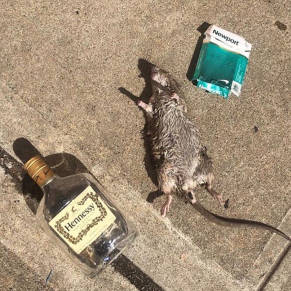 I DIDNT WANNA GO