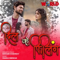 Dil Ke Feeling - Single - Shivani Vaishnav