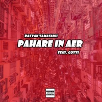 Pahare in aer (feat. Gotti) - Single - Razvan Tamasanu