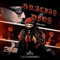 Gracias a Dios - Single - Felony