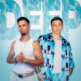 DEEP ERMNK & POPLEEV