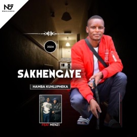Hamba kuhlupheka (feat. Menzi) Sakhengaye
