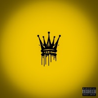 NEVER SETTLE - Single - Lil Zib