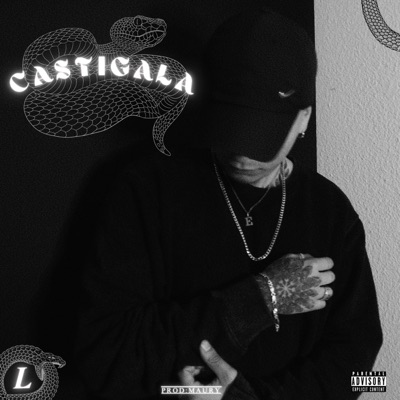 CASTIGALA (feat. Maury) - Single