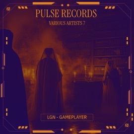 Gameplayer (feat. ŁGN) Pulse Records