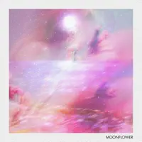 Halo (Noise) — Moonflower