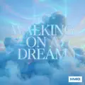 Walking On A Dream