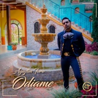 Ódiame - Single - Agustín Toro