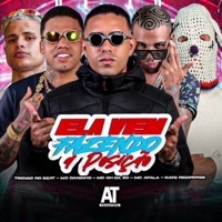 Ela Vem Fazendo a Posição - Single - MC CH da Z.O, Mc Daninho, Rato Recifense & Mc Afala