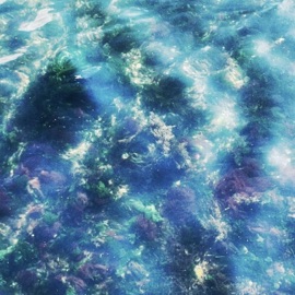 Не Поймал Becpot & Fardi