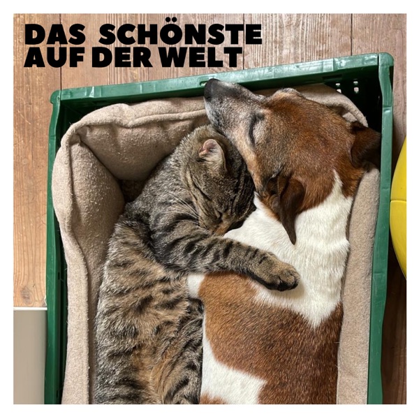 Das Schönste auf der Welt