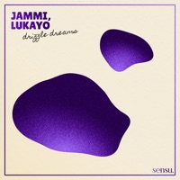 Drizzle Dreams - Single - JAMMI & lukayo