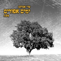 ימים אפורים - Single - Adi Abraham