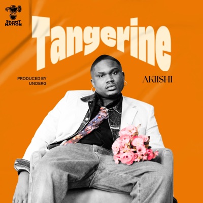 Tangerine - Single