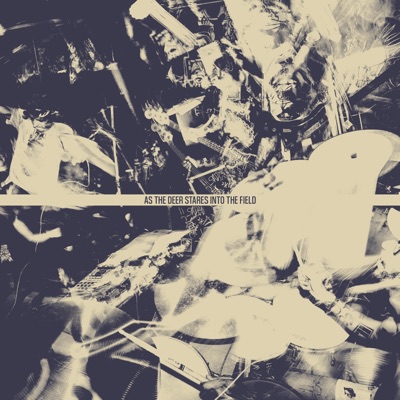 As The Deer Stares Into The Field - Single