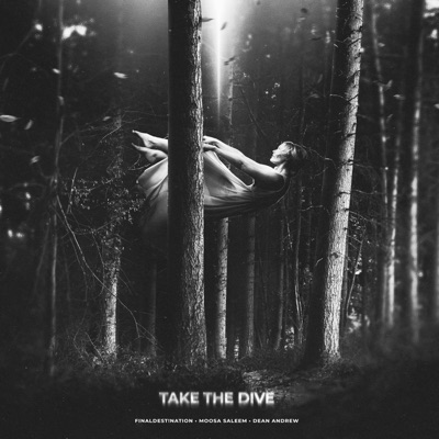 take the dive (feat. Dean Andrew) - Single