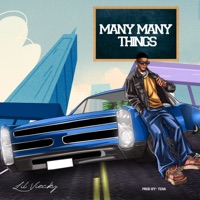 Many Many Things - Single - Lil Viecky