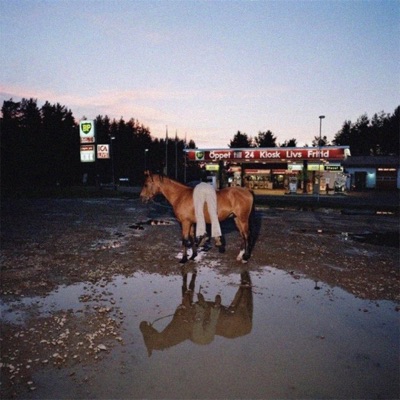 newport - Single