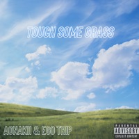 Touch Some Grass (feat. Ego Trip) - Single - Aonakii