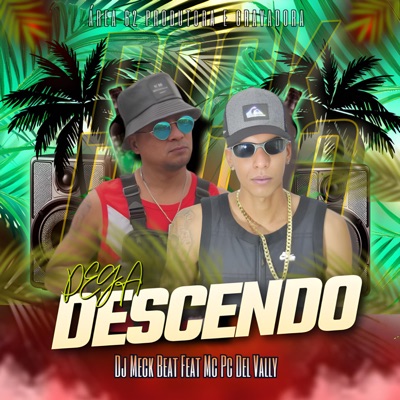 Pega Descendo (feat. Mc Pc Del Vally) - Single