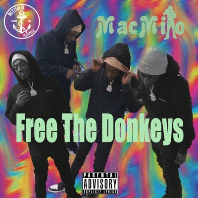 Free The Donkeys - Single
