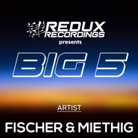Redux Big 5 of Fischer & Miethig - Fischer & Miethig
