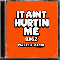 It Aint Hurtin Me - Single - Bagz