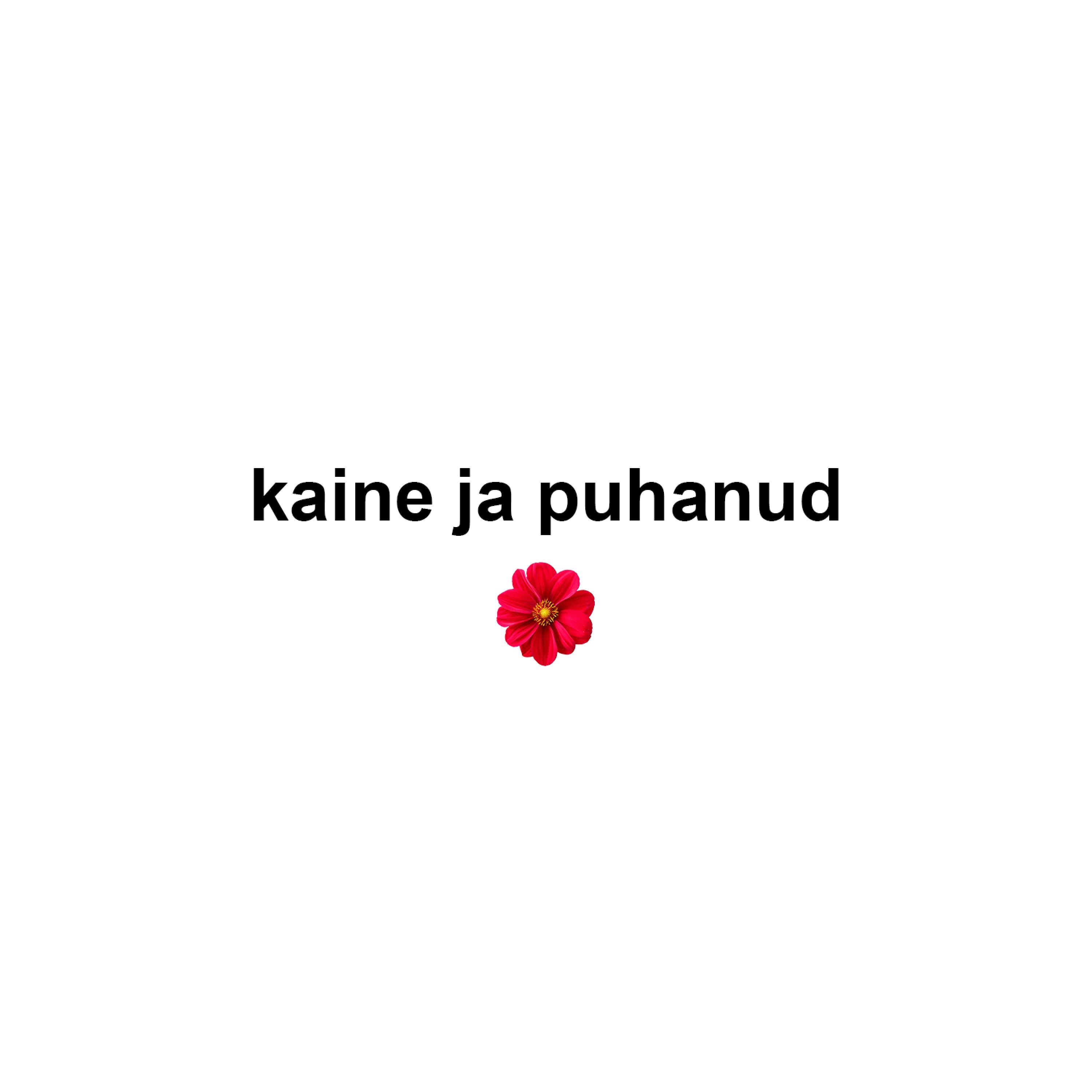 kaine ja puhanud - Single