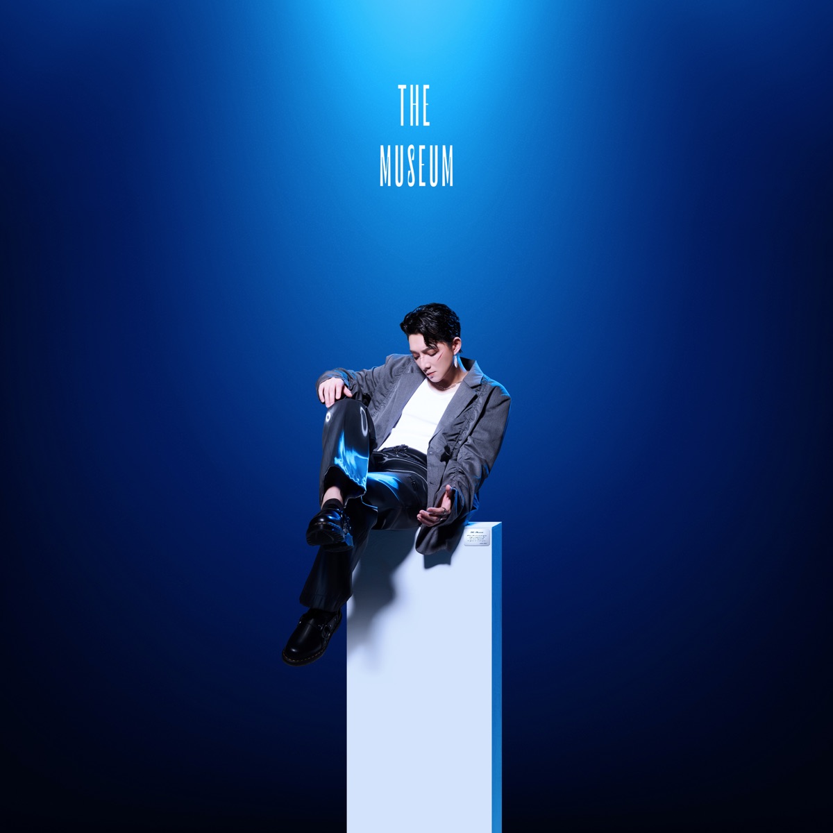 陳竟飛 Shane Chen - 美術館 - Single (2025) [iTunes Plus AAC M4A]-新房子